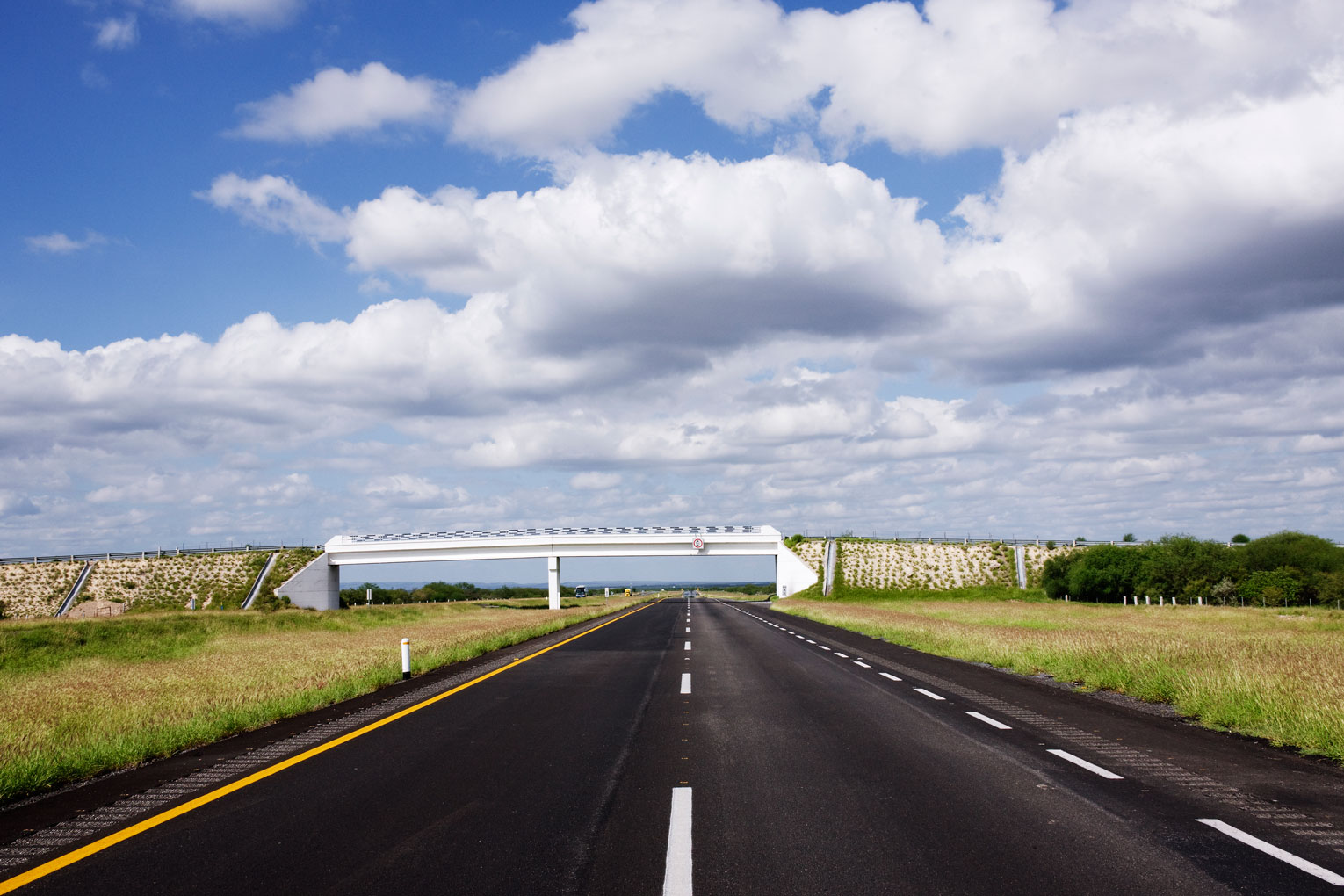 Webber Texas DOT highway construction